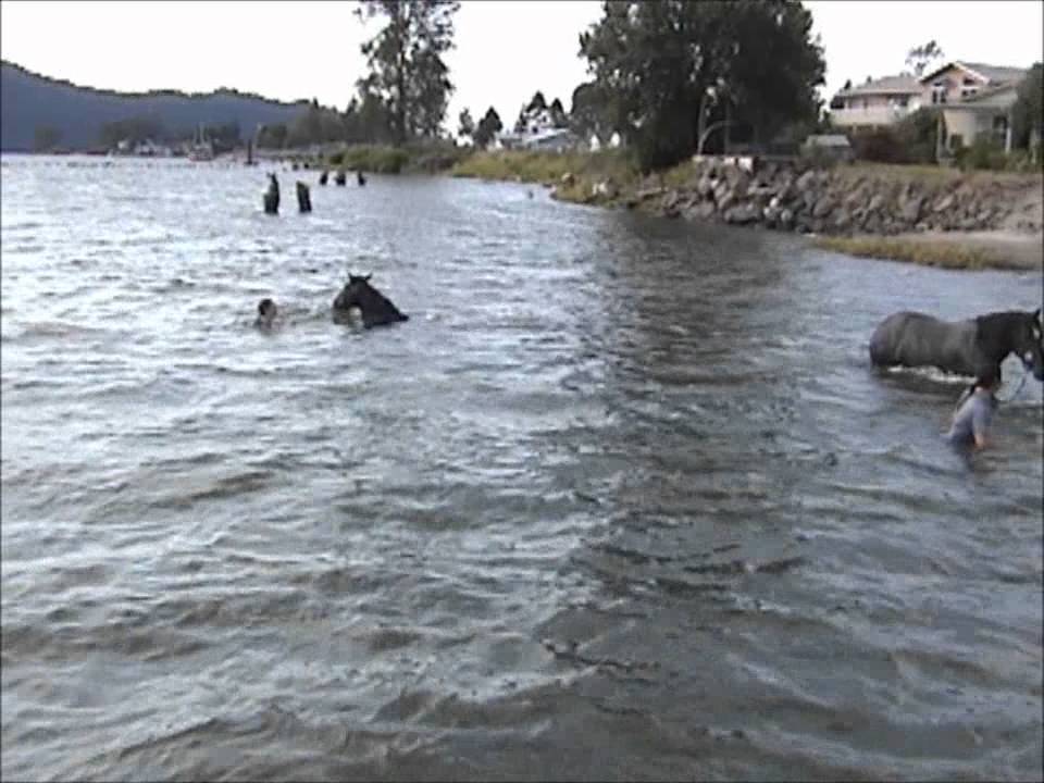 River Girls - Swimming the Hackney Horse