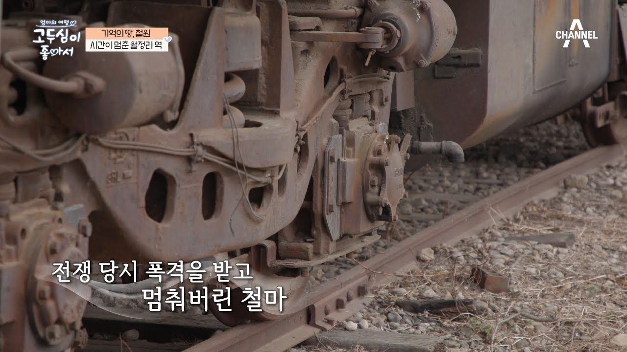 분단이 만든 민통선, 월정리 역에 멈춰 선 우리의 아프지만 기억해야 할 이야기 | 엄마의 여행 고두심이 좋아서 6 회