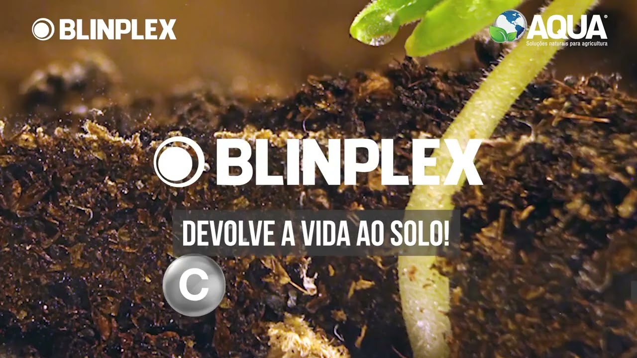 ※AQUA DO BRASIL※ Blindex agora é Blinplex!