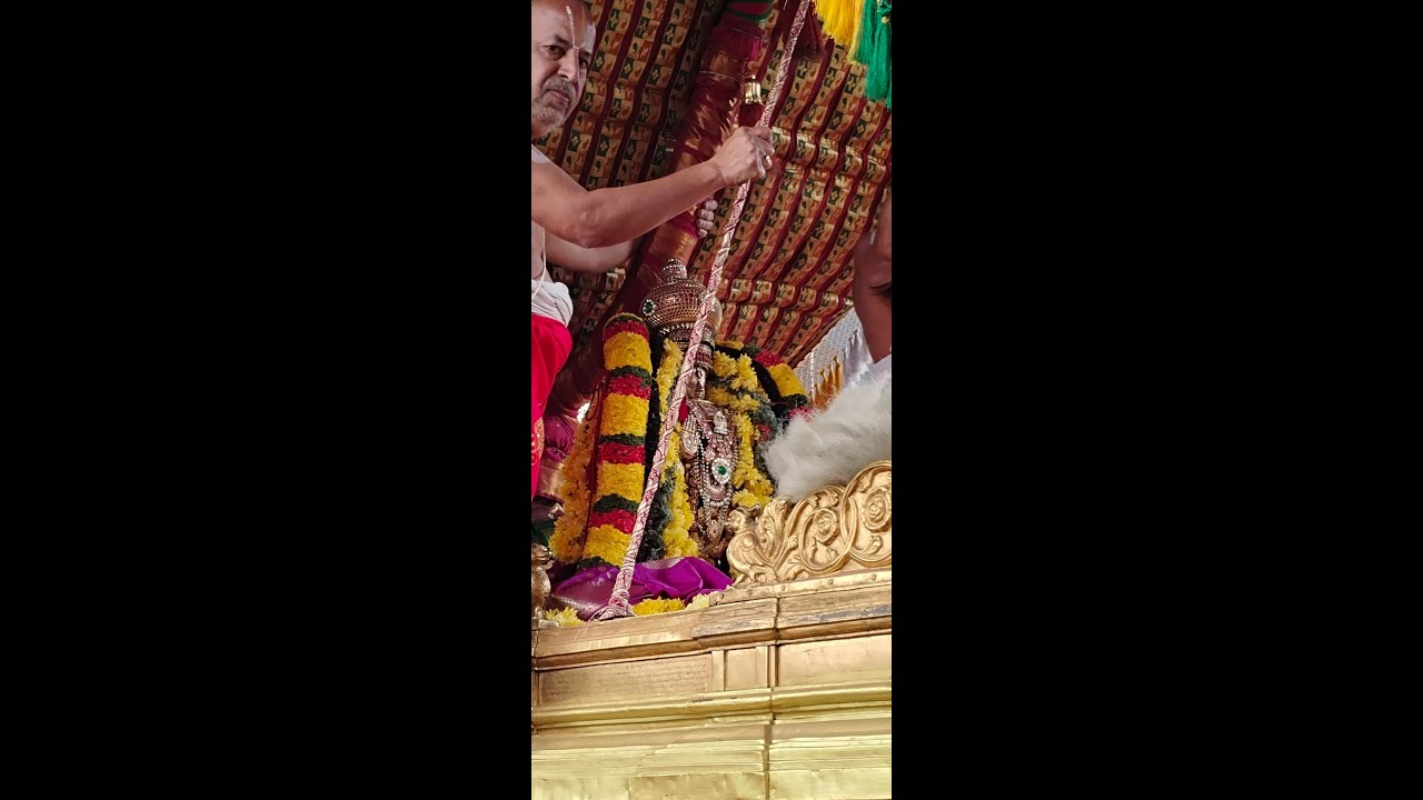 ஸ்ரீ வீரராகவர் திருவூடல் தரிசனம் திருவள்ளூர்.