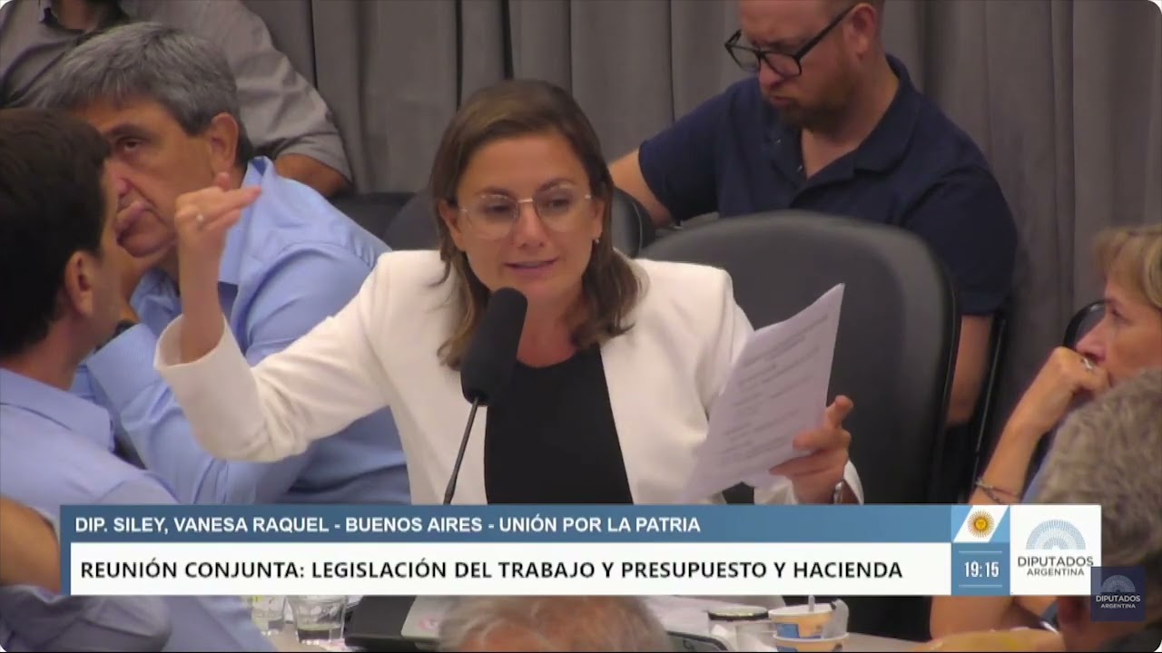 Vanesa Siley - Debate sobre proyecto de flexibilización laboral en Diputados - 18 de febrero 2026