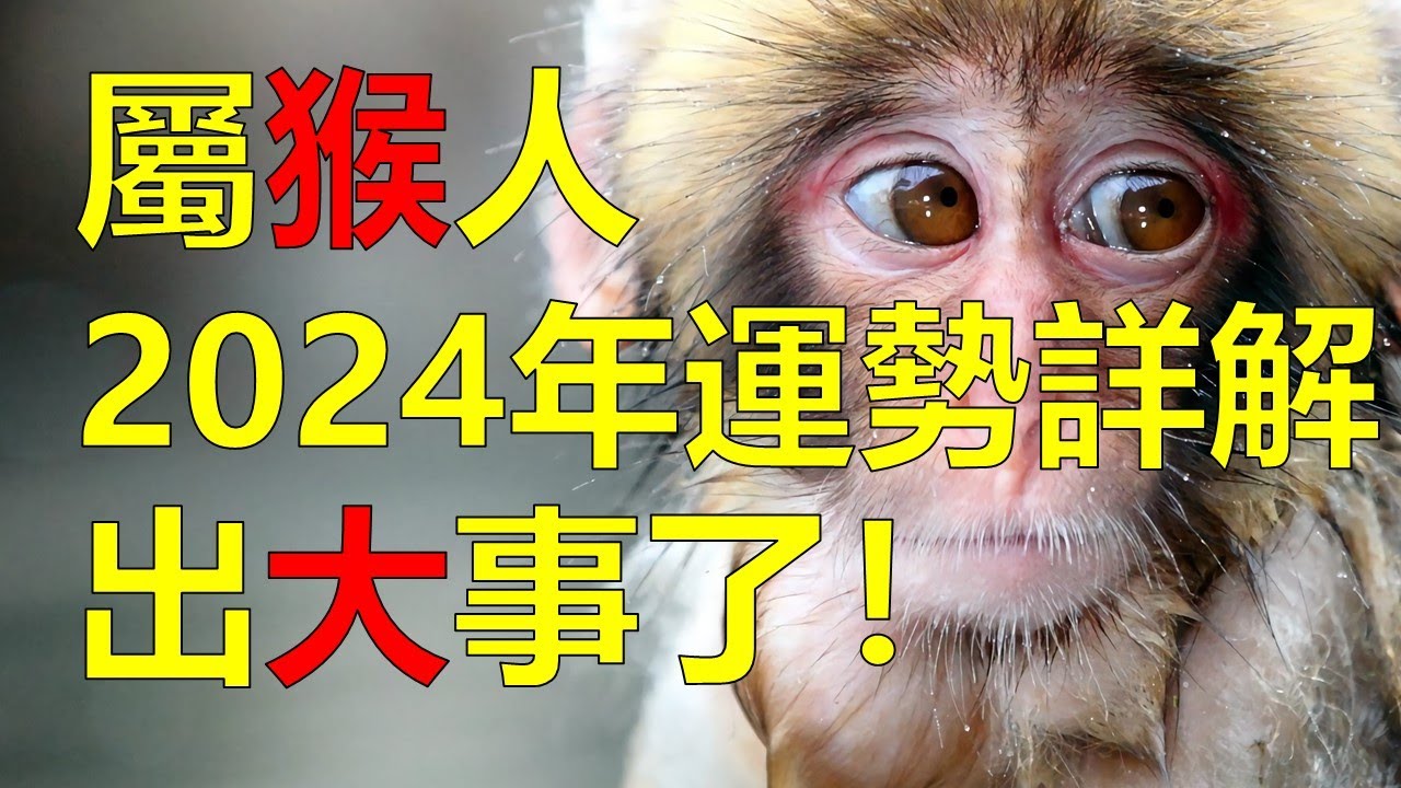 2024生肖運勢，十二生肖（屬猴人2024年全年運勢運程，屬猴人性格有進取心。屬猴人機智活潑才能常超越人群、人緣好、但屬猴人重名利，獨佔欲強，屬猴人在明年不要以為沒有大事，2024年全年運勢運程詳解）