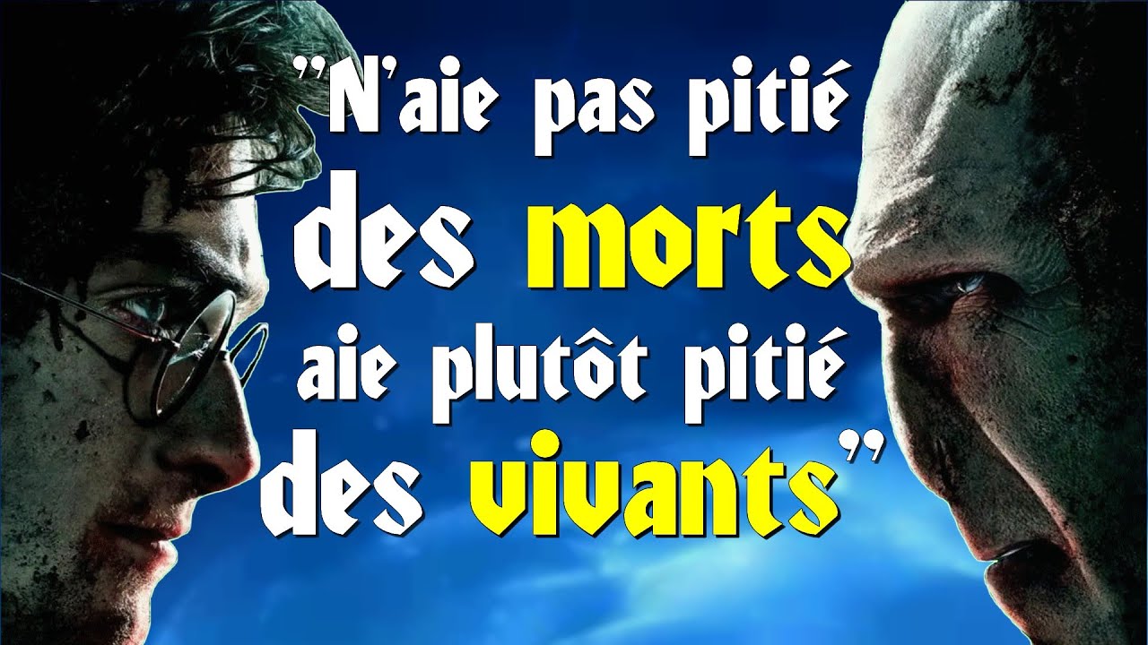 HARRY POTTER - Le Message Caché de l'Histoire !