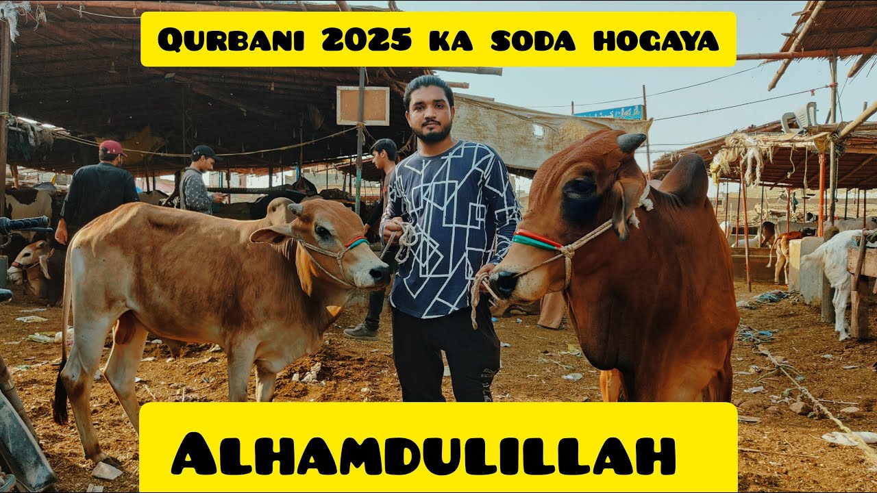 Finally i Bought my cow 🐄😍 | Qurbani 2025 | Malir Mandi 🫶🏻♥️