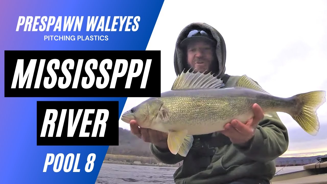 Mississippi River Walleye | Fishing Pool 8 of the Mississippi River for Spring Run Walleyes