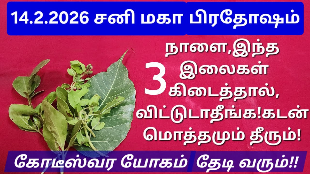 14.2.2026:இந்த ஆண்டின் முதல் சனிப்பிரதோஷம்!ஆண்டியையும் அரசனாக்கும் சக்திவாய்ந்த வழிபாடு,DON'T MISS!