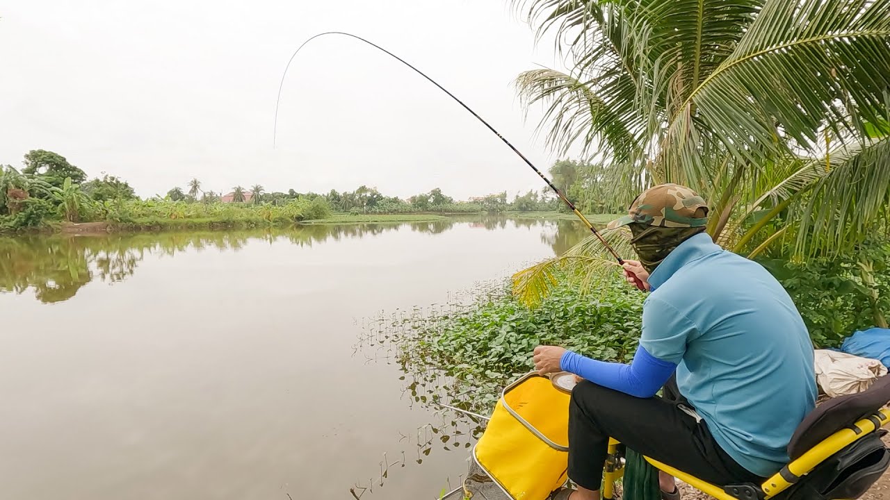 Điểm C&acirc;u Nhiều C&aacute; Diếc To tập 3 | An Thổ - Tứ Kỳ - Hải Dương
