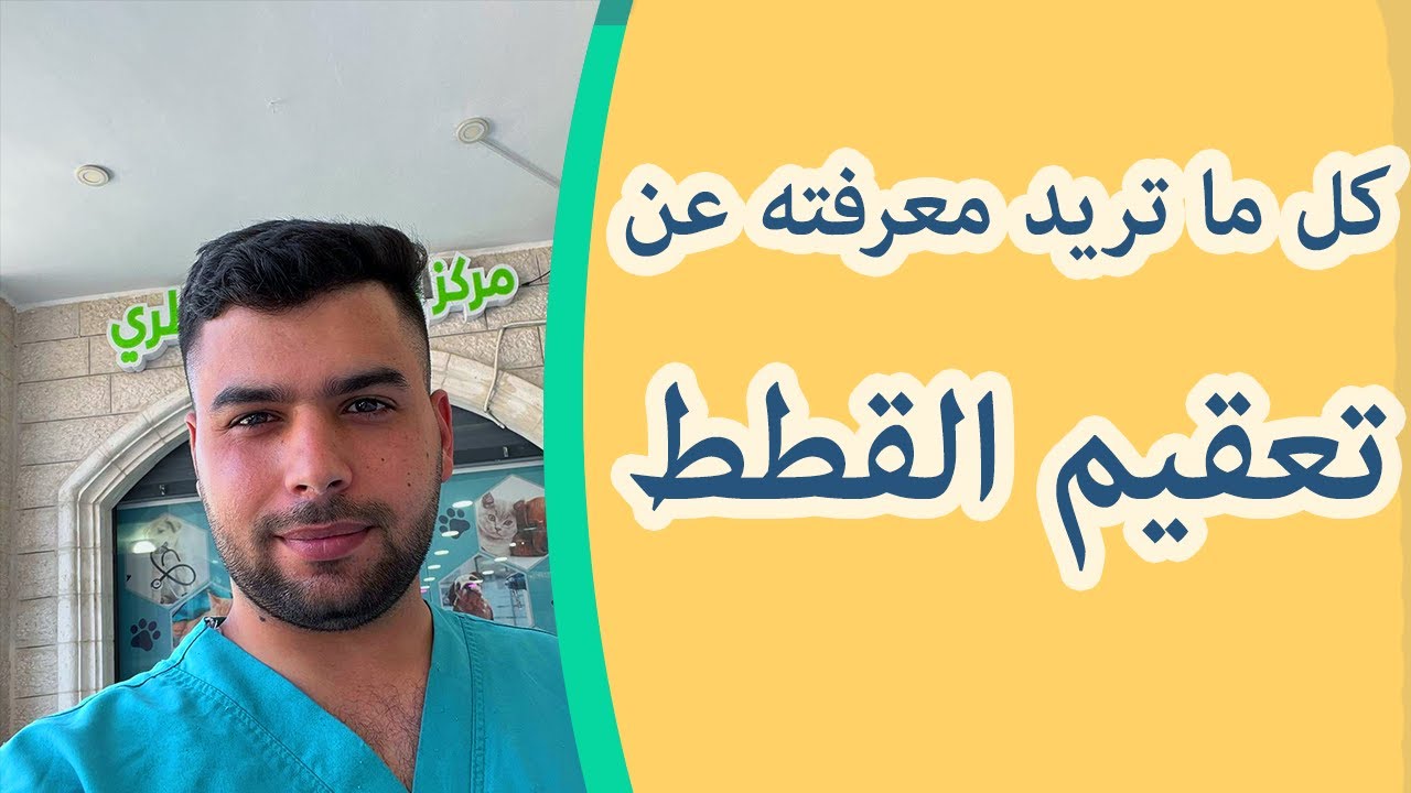 عملية تعقيم القطط , خصي القطط , حلال أم حرام و تبعات العملية