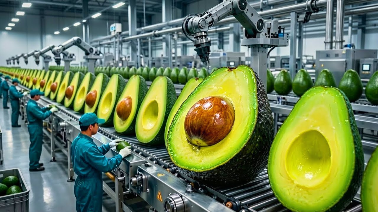 Inside a Modern Avocado Factory: From Fresh Avocados to Perfect Guacamole (Full Process)
