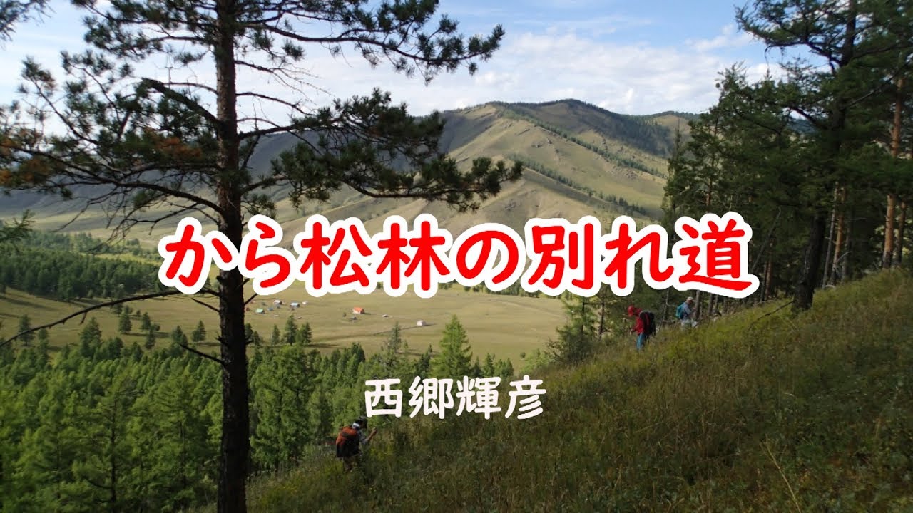 から松林の別れ道　【パーティクル】　西郷輝彦