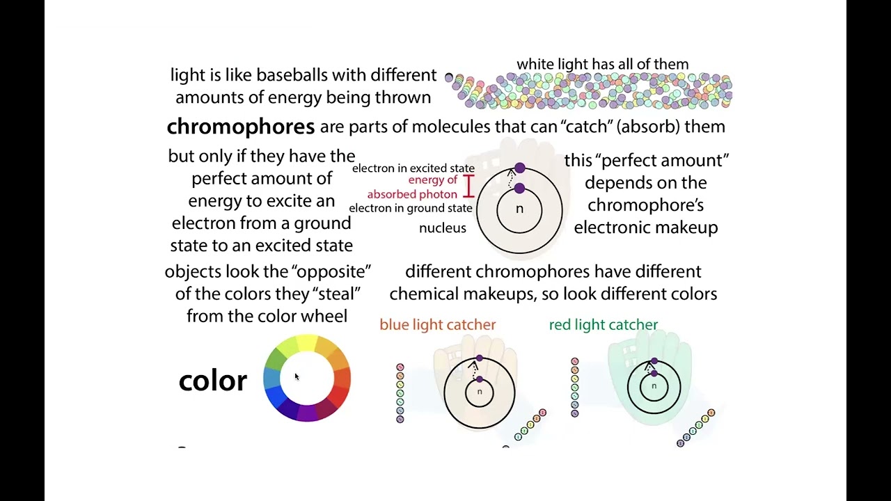 Fluorescence and FRET (Förster/Fluorescent Resonance Energy Transfer)