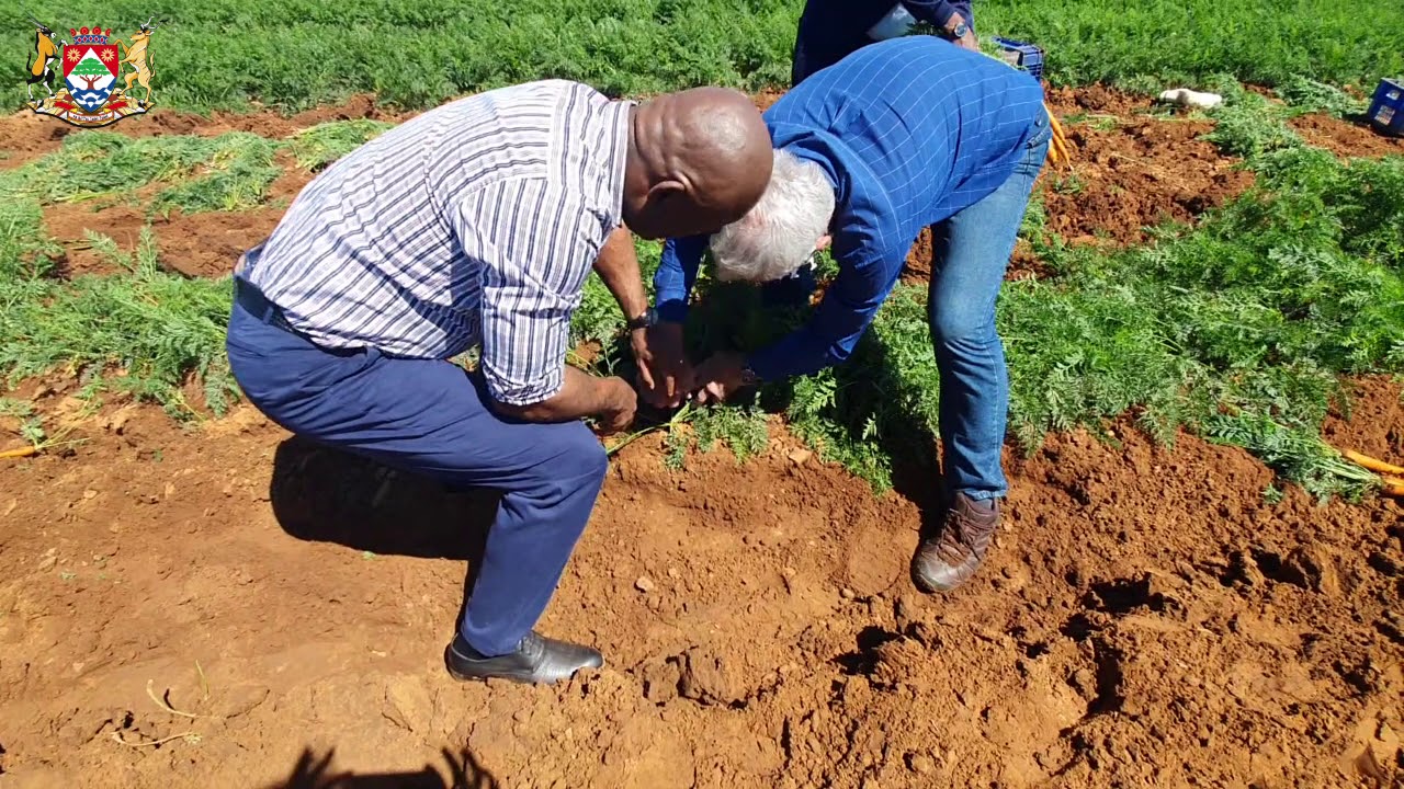 Wildeklawer Farm Visit - #COVID-19
