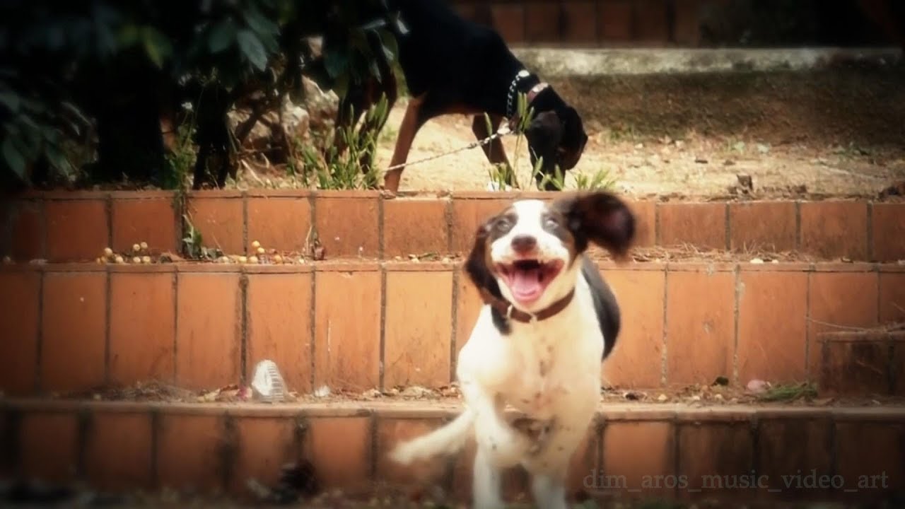 Amazing super slow motion