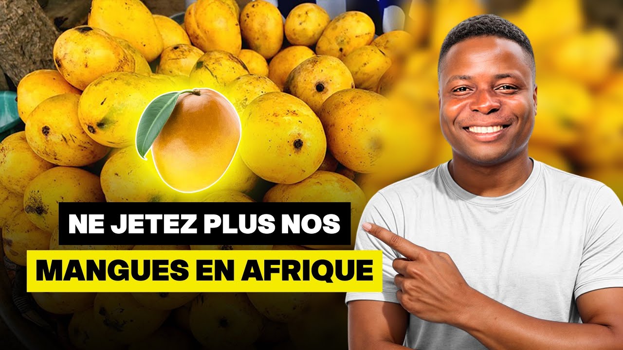 Arrêtez de gaspiller les mangues ! Voici la solution qui change tout !