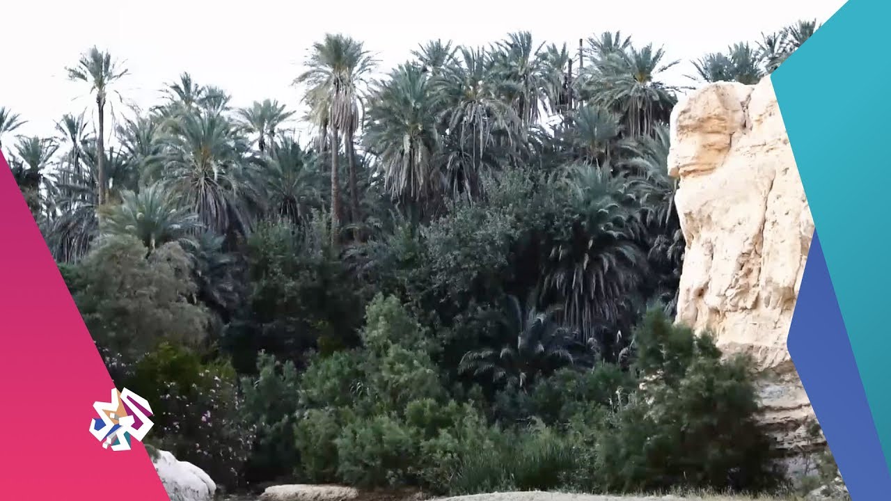 صباح النور | تمغزة .. سحر الطبيعة التونسية