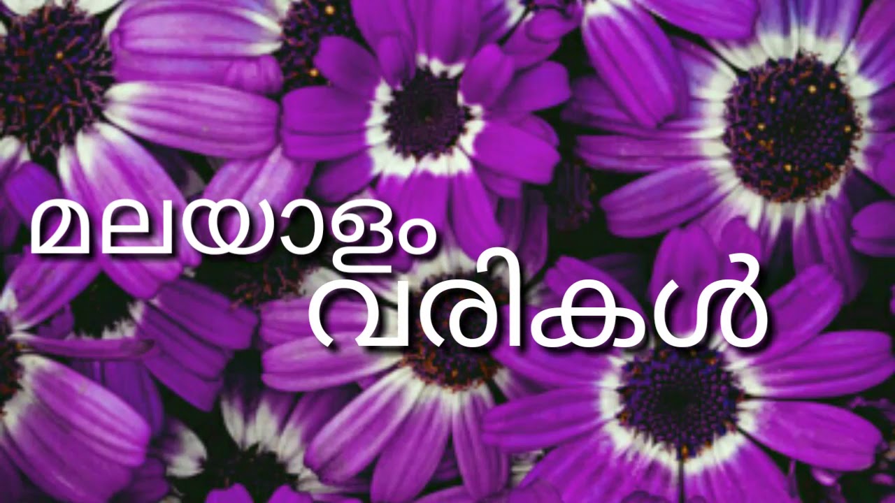 RINEESH Karaoke New rimix madhuvarnna poovalle