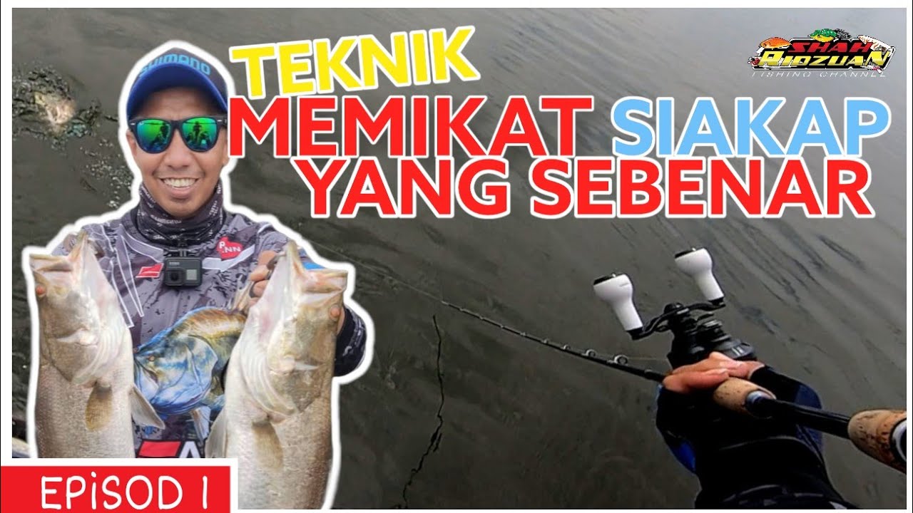 Teknik Casting Siakap Paling Berkesan | Pancing Siakap | Barramundi Fishing | Episod 1