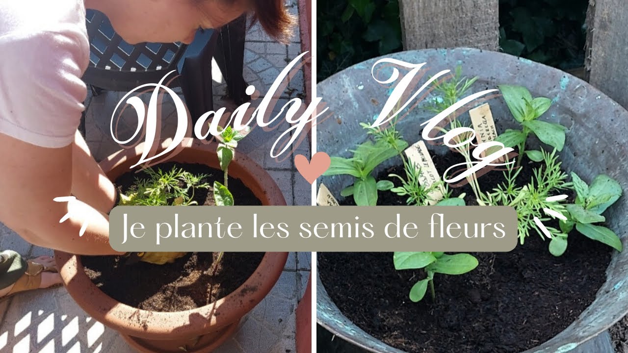 Je PLANTES les semis de FLEURS 🌸| DAILY VLOG