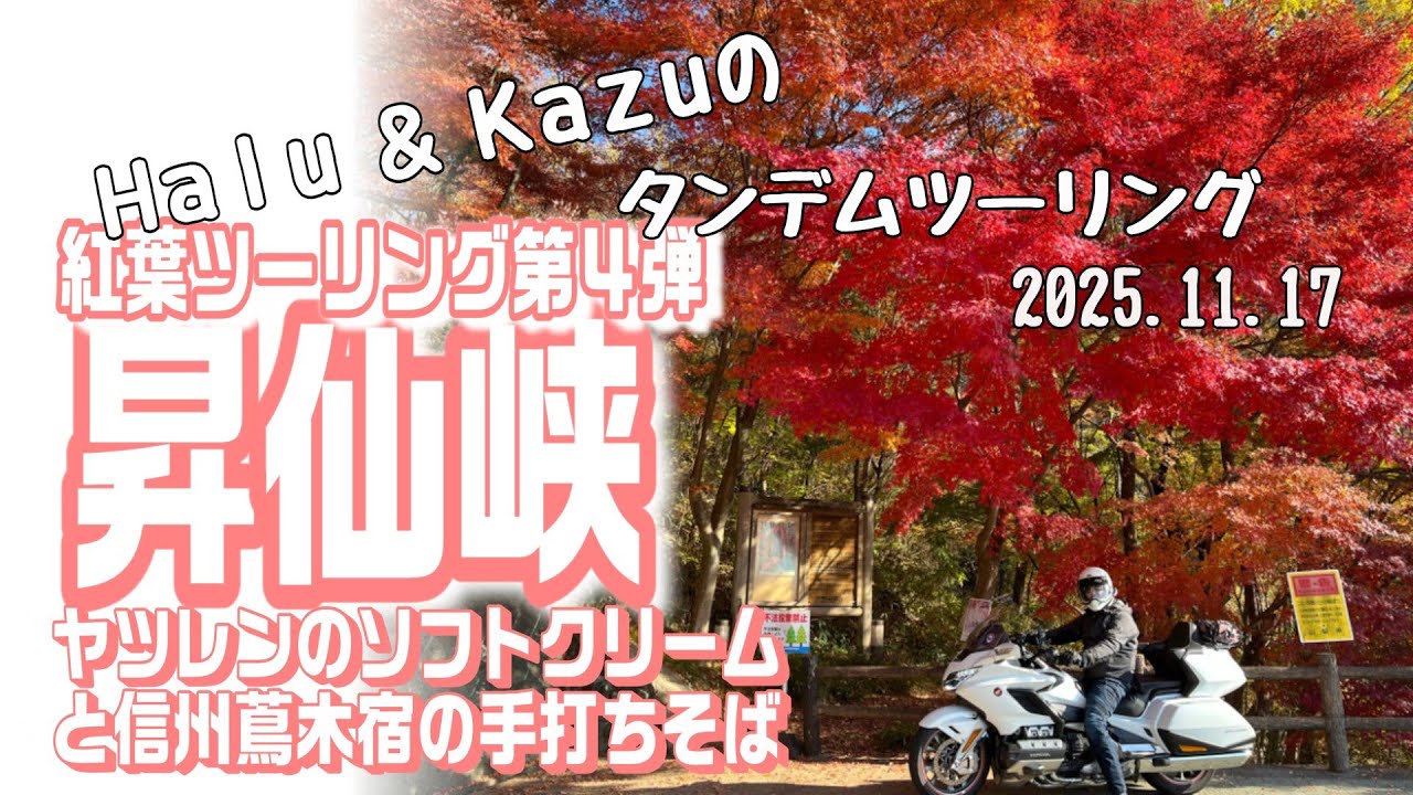紅葉ツー第4弾は昇仙峡の川沿いをゴールドウィングで走ってきたよ。