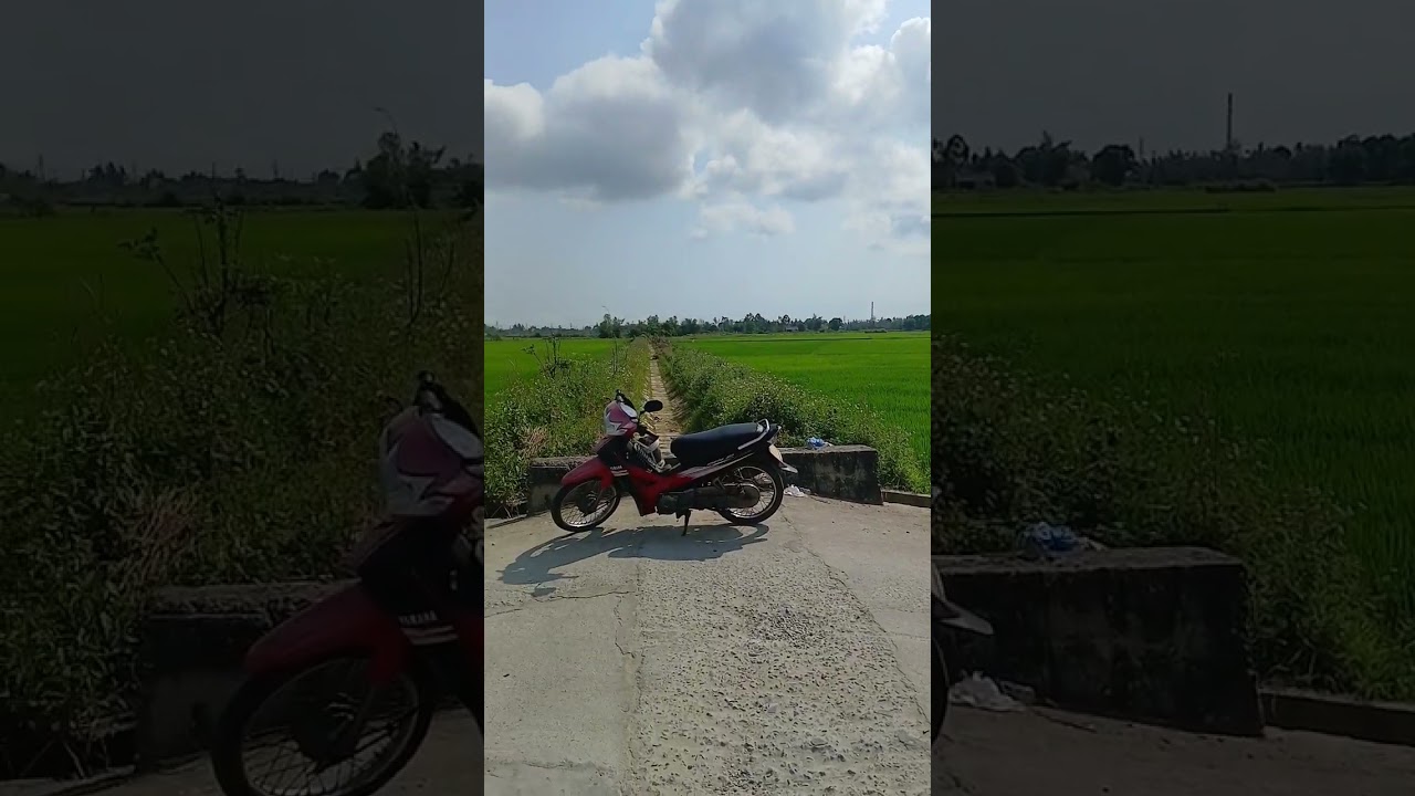 Đồng Lúa 