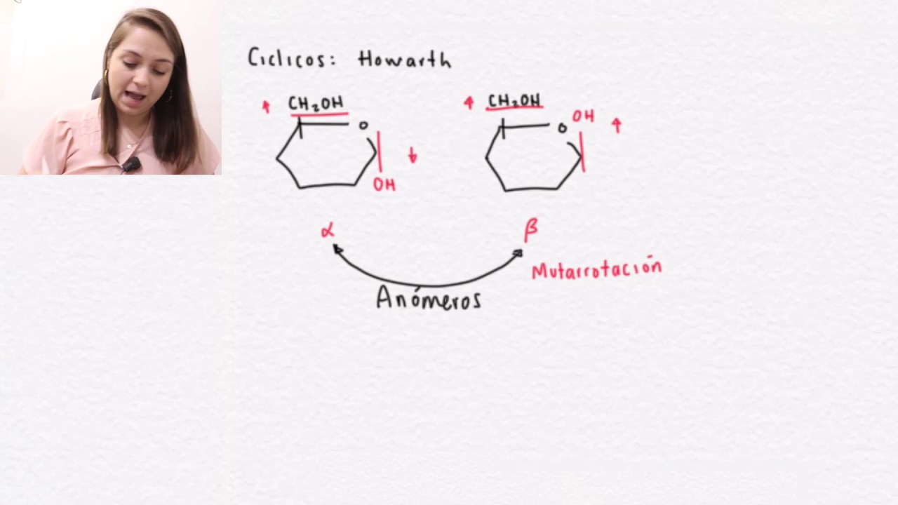 Bioquímica | Metabolismo de los Carbohidratos | Introducción a los carbohidratos