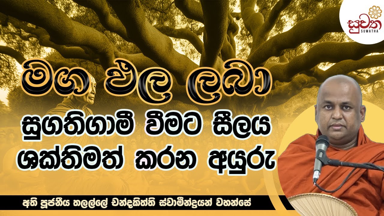 මග ඵල ලබා සුගතිගාමී වීමට සීලය ශක්තිමත් කරන අයුරු  | Ven Thalalle Chandakiththi Thero | Suwatha