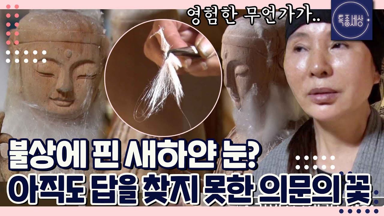 [FULL영상] 