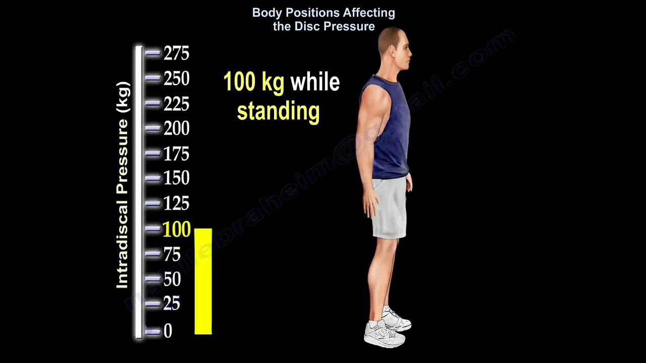 Understanding Low Back Pain, Body Position, and Disc Pressure