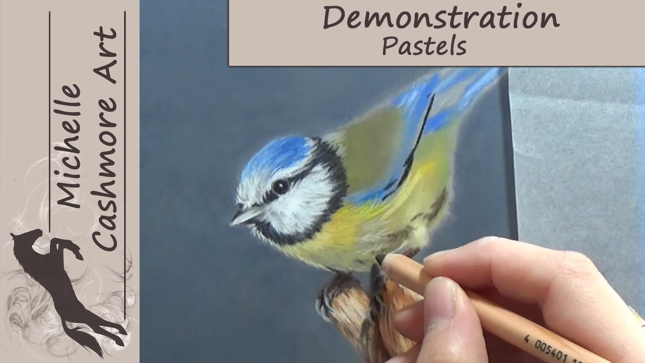 Bird in Pastels Demonstration