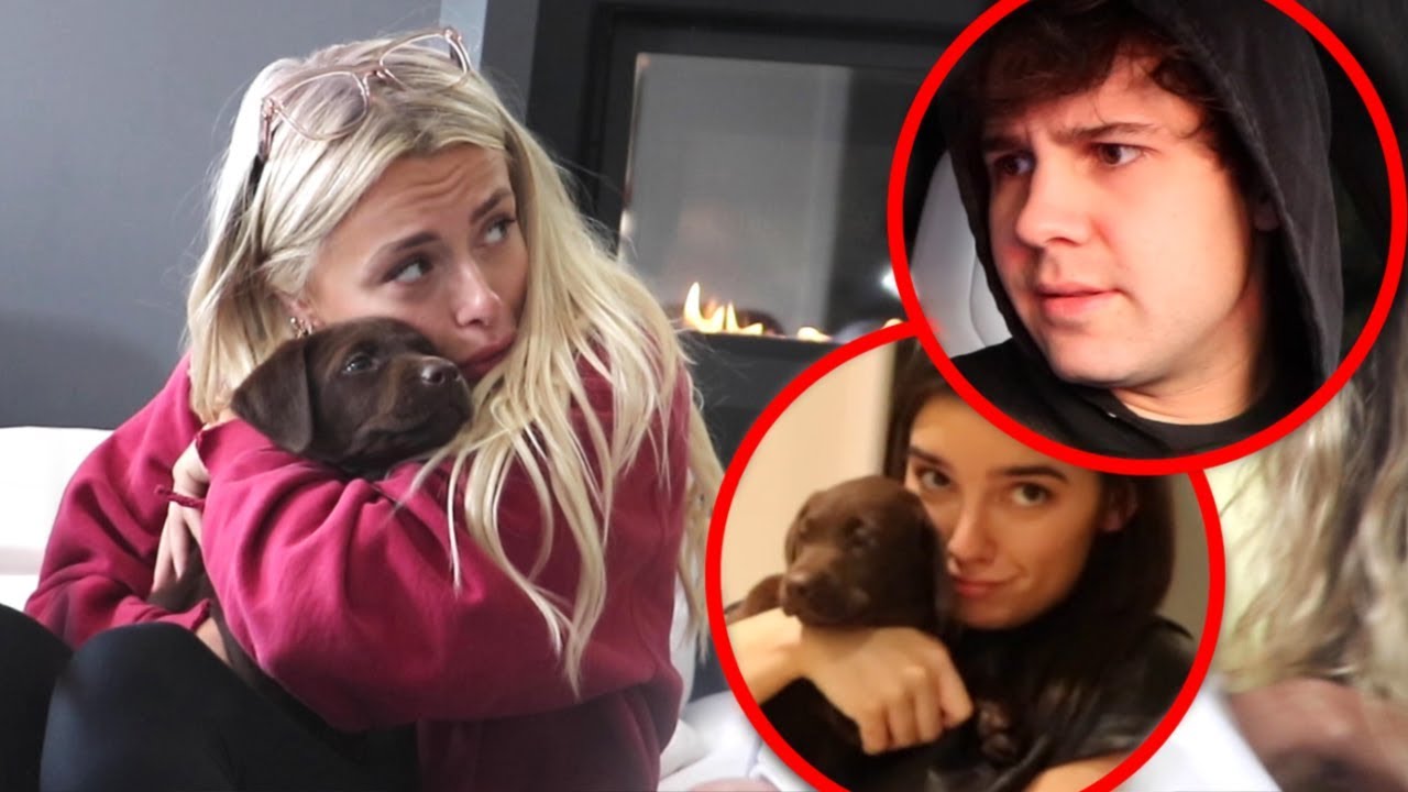 OUR CHRISTMAS SURPRISE PUPPY!!
