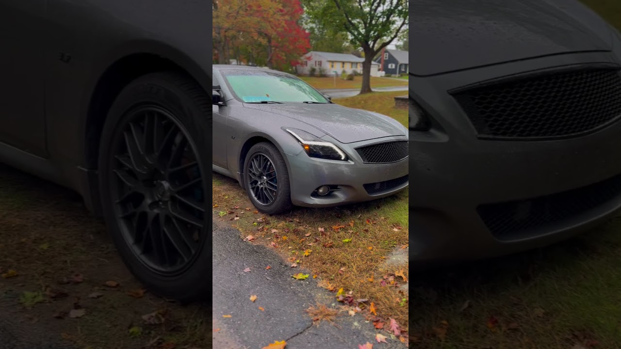 🌧️🌧️vq. 