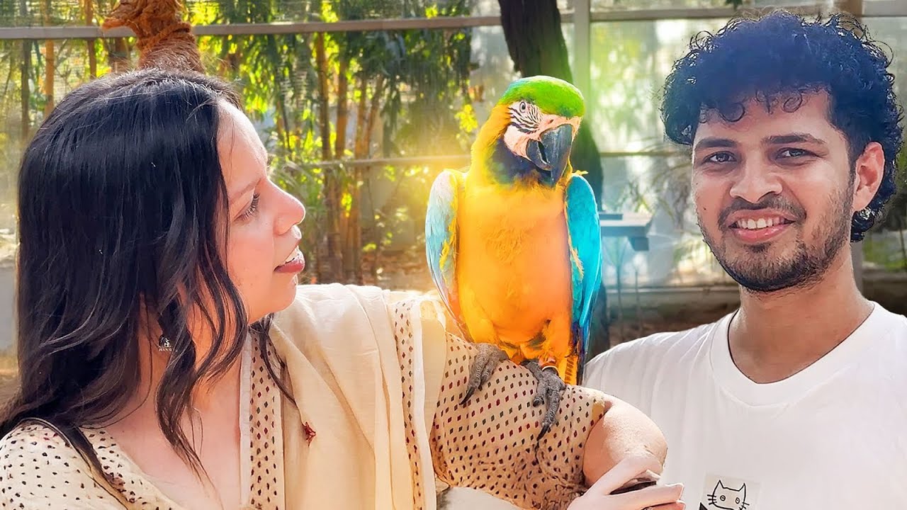 I Took My Boyfriend To A Bird-park Date @SunRayBee