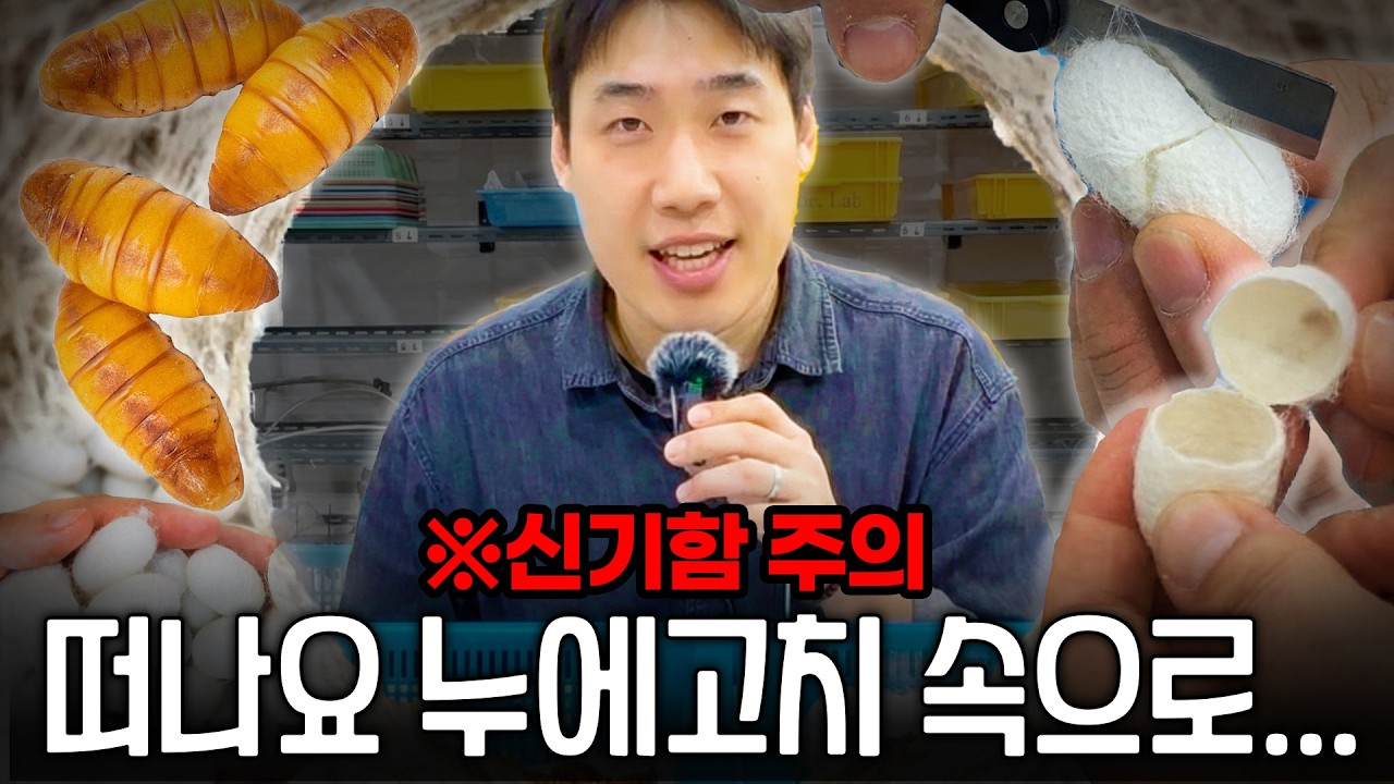 도대체 이 속에 뭐가? | 누에 고치 언박싱 | 누에고치 절각 ASMR