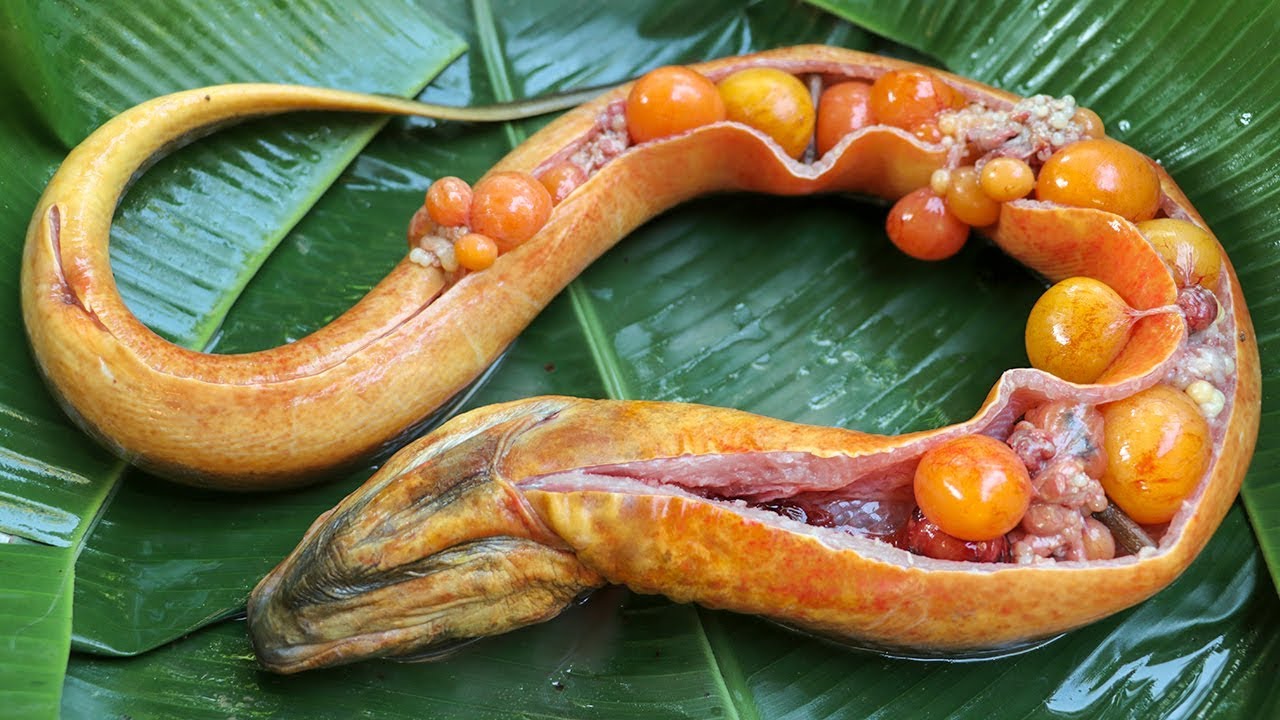 Wow! Cooking Big Eel - Fried Spicy Eel Recipes in my Homeland