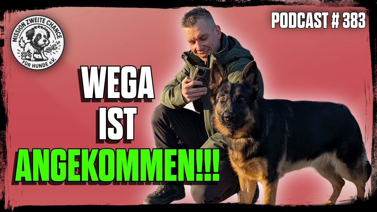 WEGA IST ANGEKOMMEN!