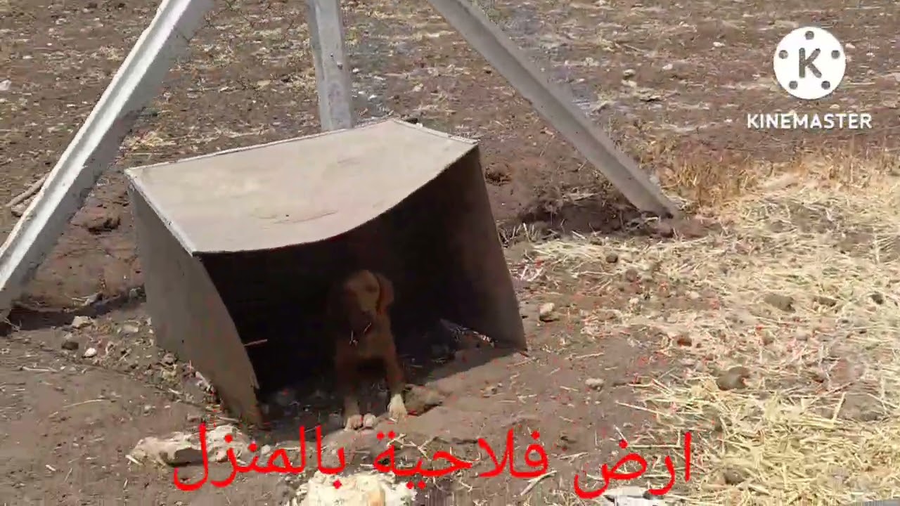 ارض فلاحية بالمنزل نواحي برشيد
