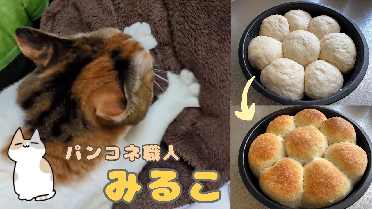 パンコネ職人みるこ