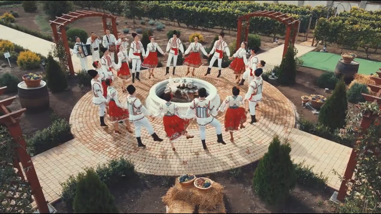 Ролик 