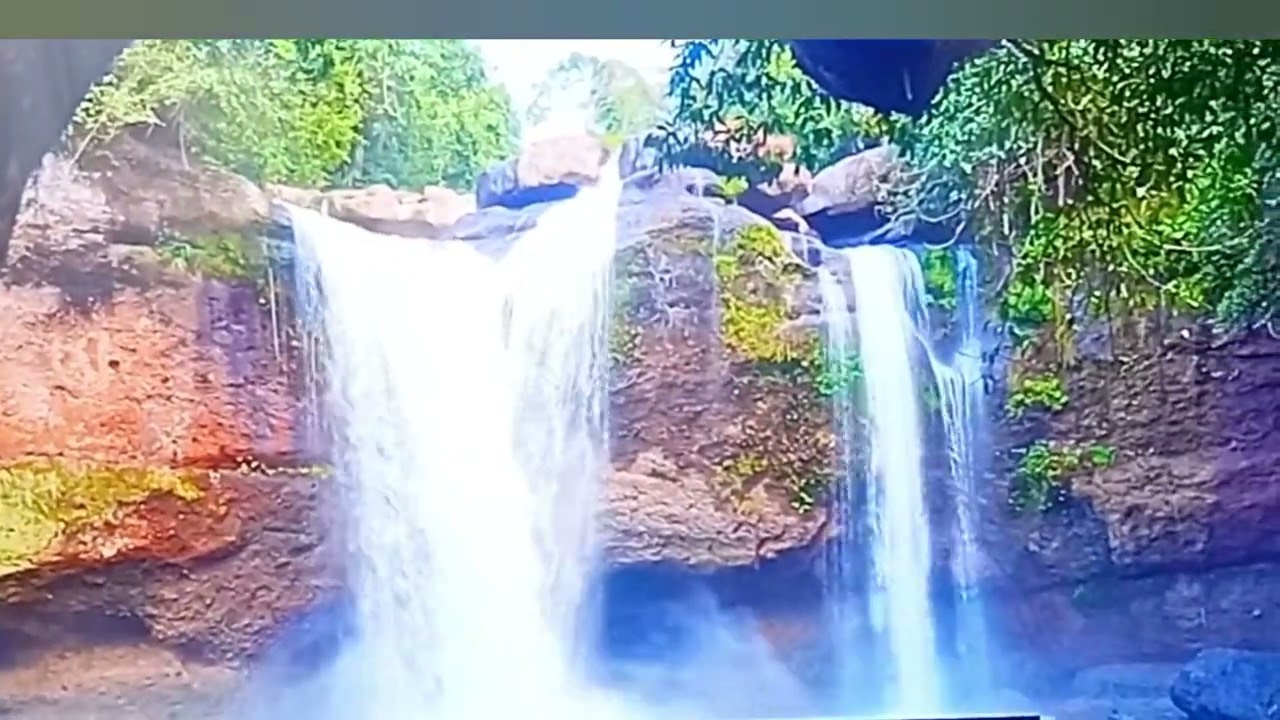 Natureza 