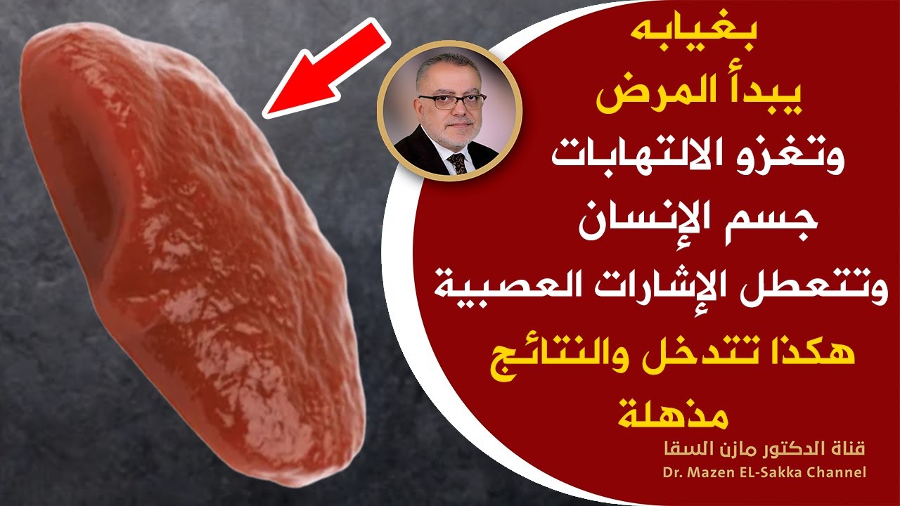 أكلات رمضانية وصفة لعلاج فقر الدم مقوية للأعصاب B12 مفيدة الدماغ معززة للمفاصل والعظام | رمضان 2023