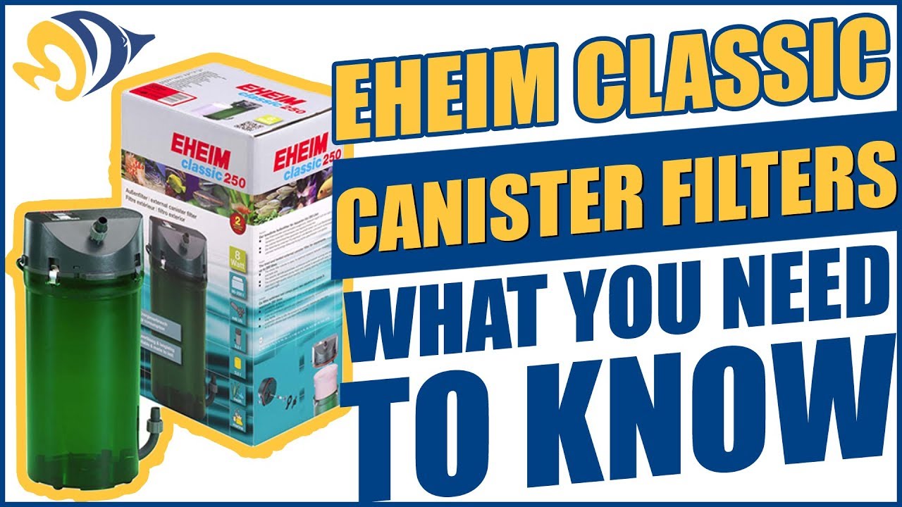 Eheim Classic Canister Filters: What YOU Need to Know