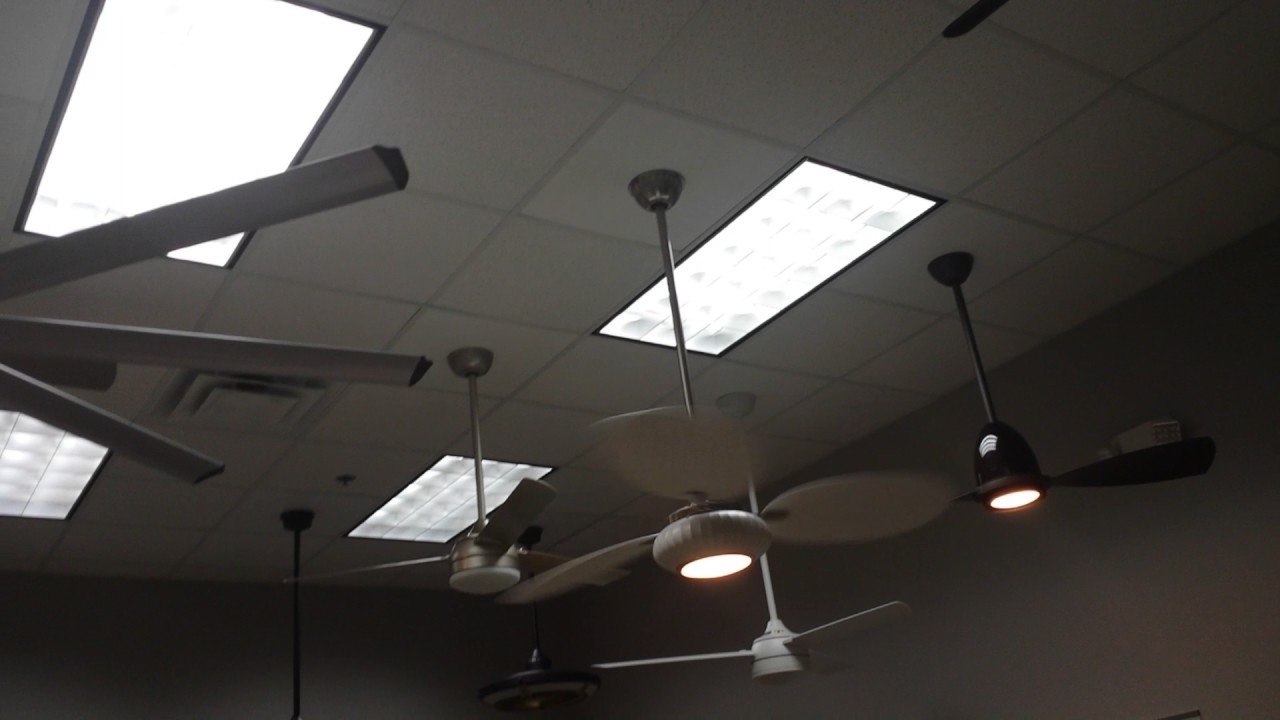 Fanimation Product Display Room (Upstairs Boardroom) Ceiling Fan Display Demonstrations