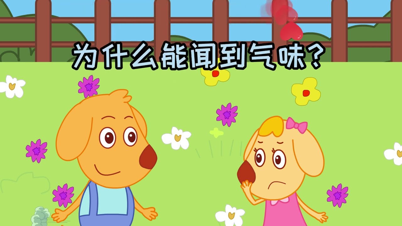 #自然科学 为什么能闻到气味？ #分子