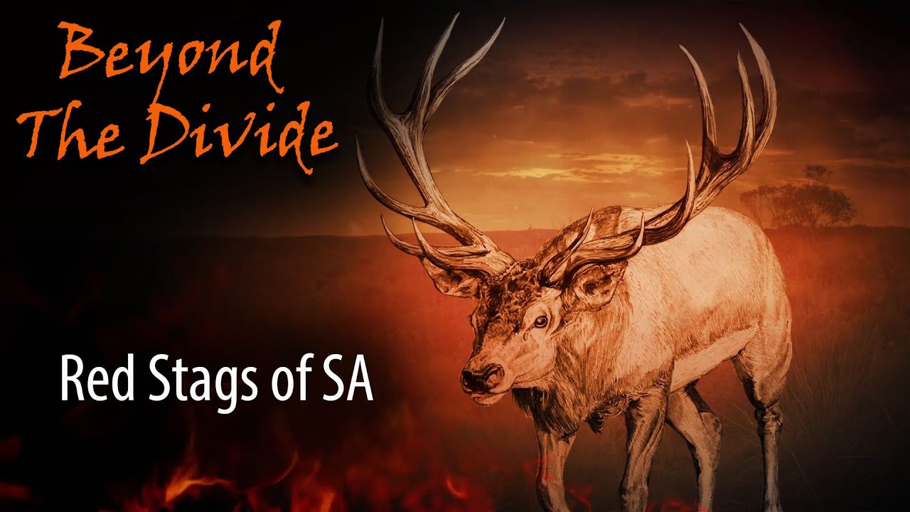 Red Stags in the Roar | Beyond The Divide - Series 5 Ep 1