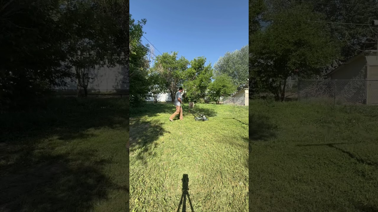 MORE FREE CUTS #grassmowing #healthylawn #lawncarenut #lawntips #mowinggrass