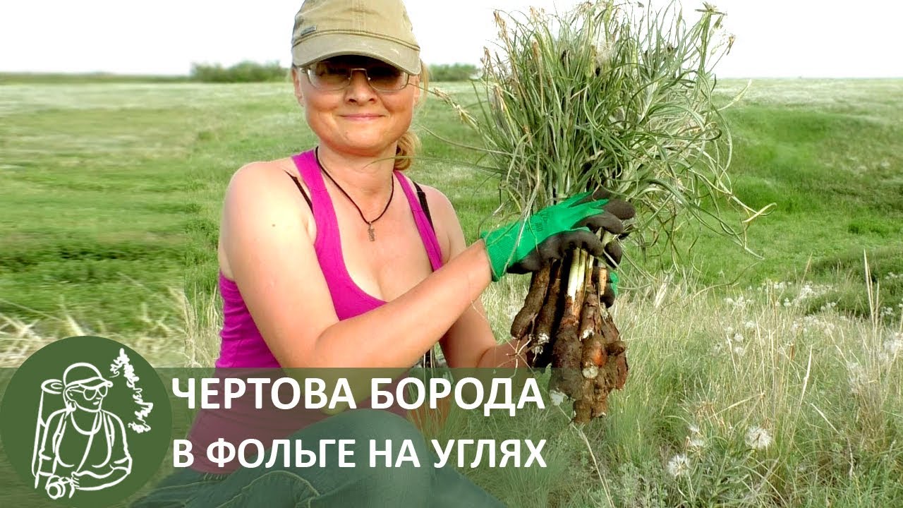 👣 Степной бушкрафт — козлобородник в фольге на углях
