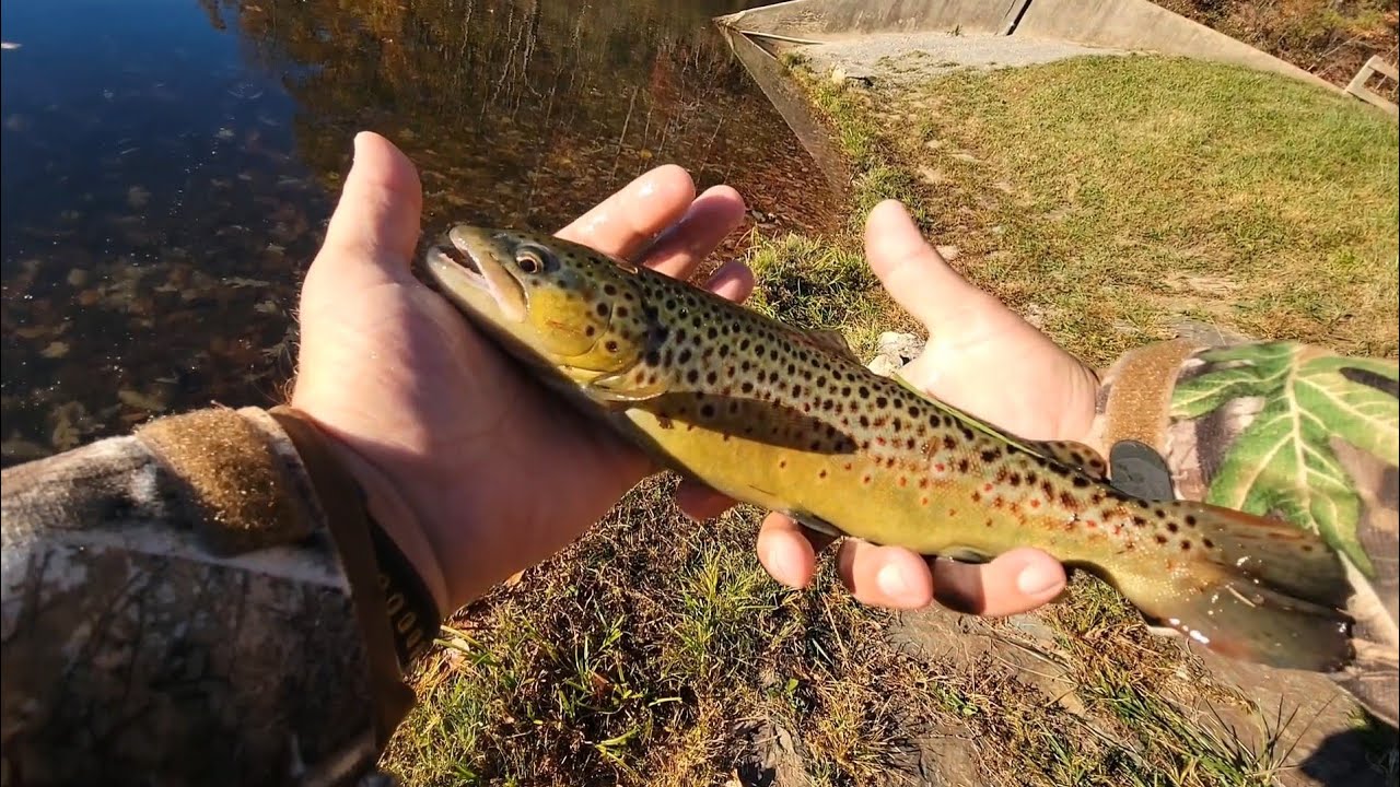 Sherando Lower Lake 2