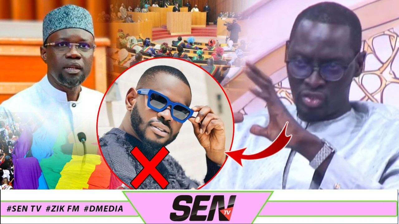 Loi anti-homosexualité de Sonko : Pourquoi est-elle incomplète ? L'analyse de Me Abdoulaye Tine