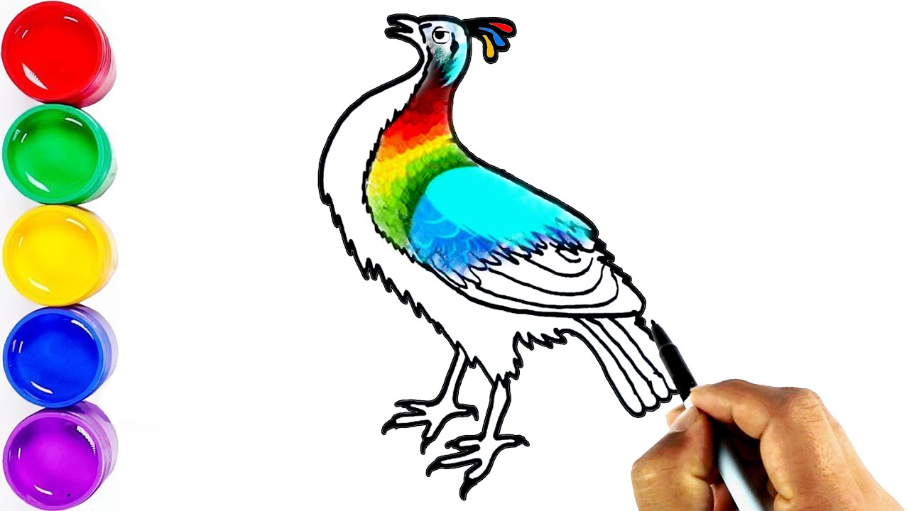 Drawing National Bird of Nepal || Draw a Himalayan Monal || Lophophorus Bird || डाँफे