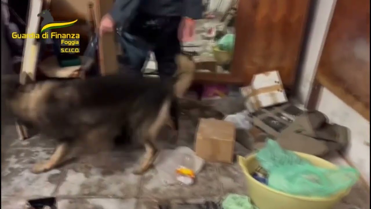 Blitz antidroga della Gdf: in manette indagati vicini alla Società Foggiana